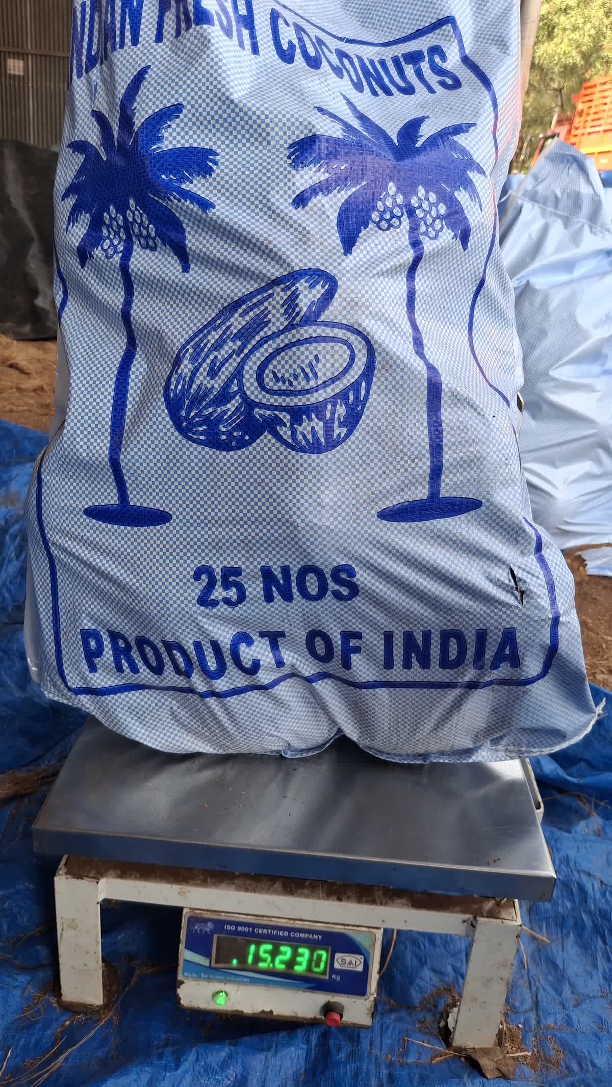 A 25-nut export bag on the scale reading 15.23 kg