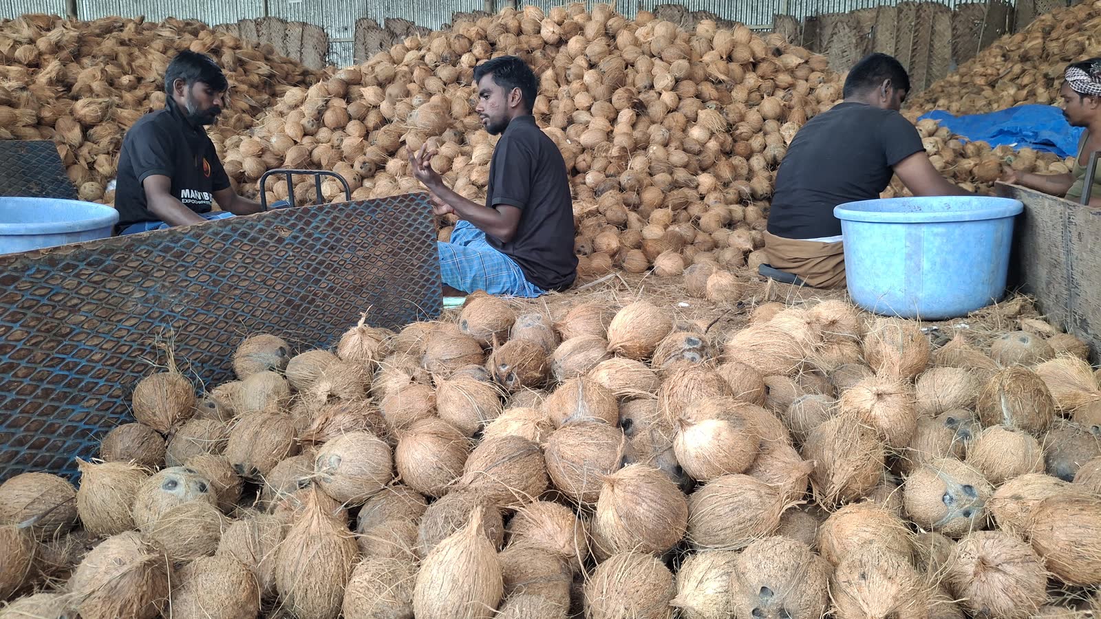 Sorting coconut by hand at the warehouse