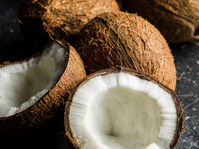 Freshnet farms Pollachi