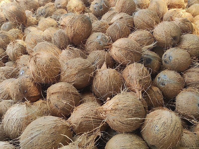 Freshnet farms Pollachi