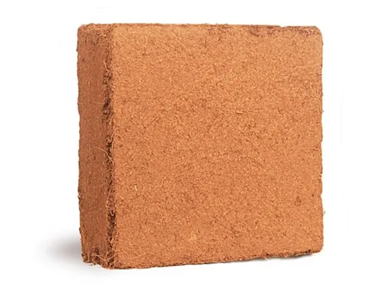 Freshnet farms Pollachi